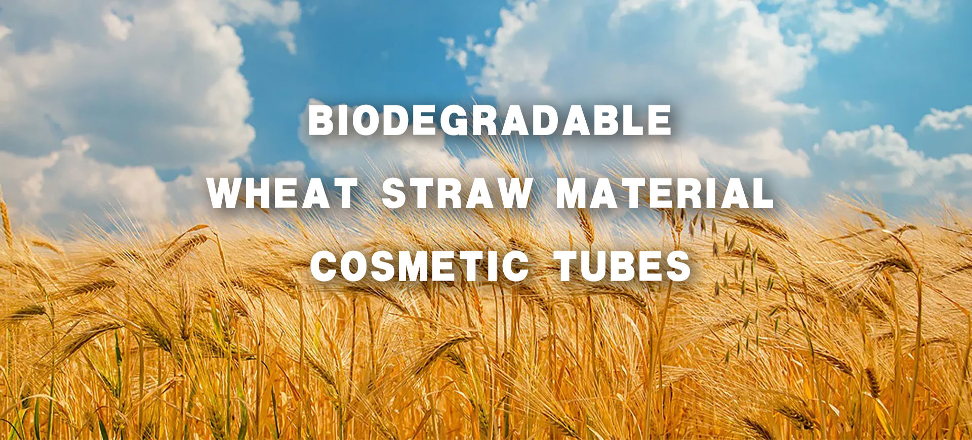 Latest company case about Wheat Straw Material Cosmetic Packaging