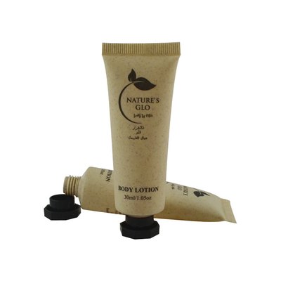 Customized Empty Tube Cosmetic Packaging Container BB Cream Face Cream Lotion Plastic Laminated Tube